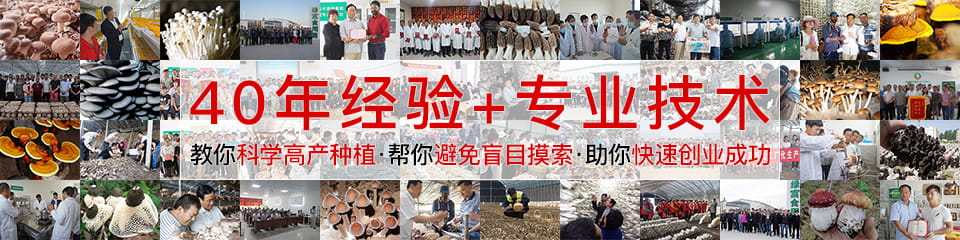 绿富食用菌培训基地