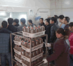 绿富食用菌栽培技术培训学校学员实践照片15