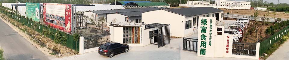 绿富食用菌培训基地实景拍摄，欢迎参观、学习