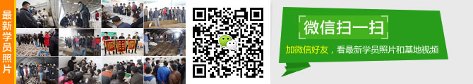 加微信:591809161