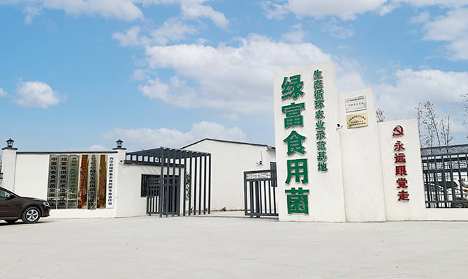 绿富食用菌技术培训基地