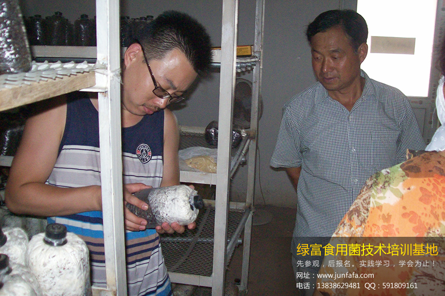 绿富食用菌培训学校-学员认真观察菌种生长状况