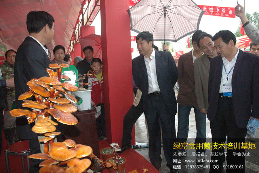 绿富食用菌培训学校-史老师携多种食用菌产品参加行业展会