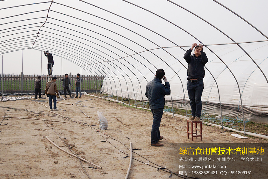 食用菌培训-学员实践拱形钢管大棚的搭建