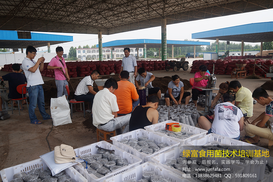 学员实操学习各生产设备的操作2（绿富食用菌培训基地七月份第2期）