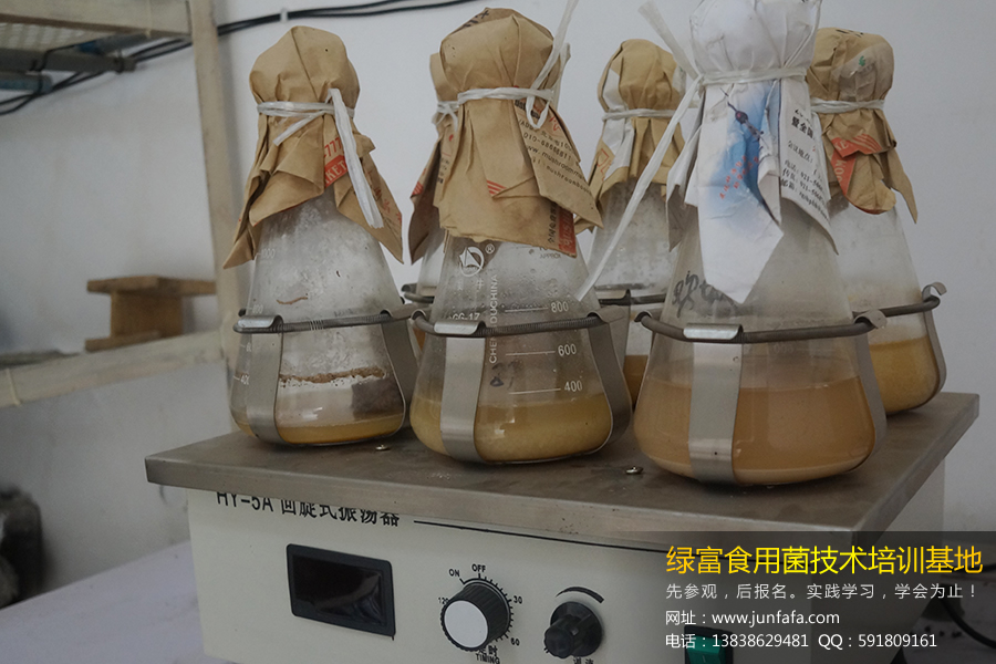 食用菌栽培技术-学员学习液体菌种制作技术