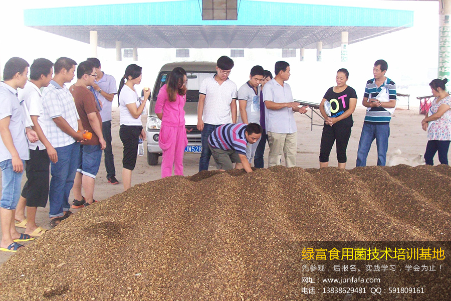 绿富食用菌培训学校-检测原料处理效果
