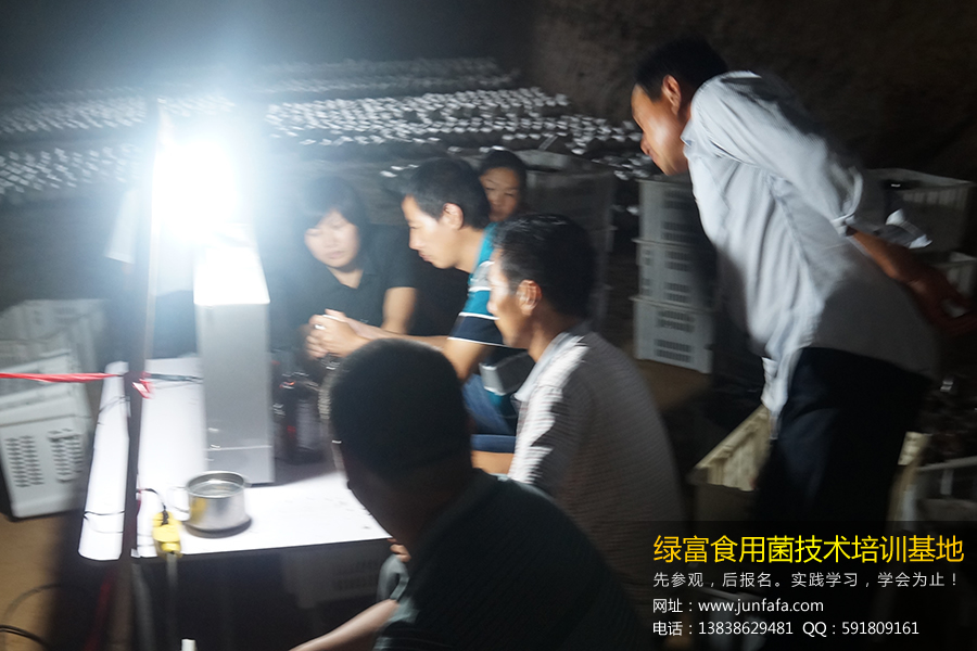绿富食用菌培训学校-学员实践无菌接种
