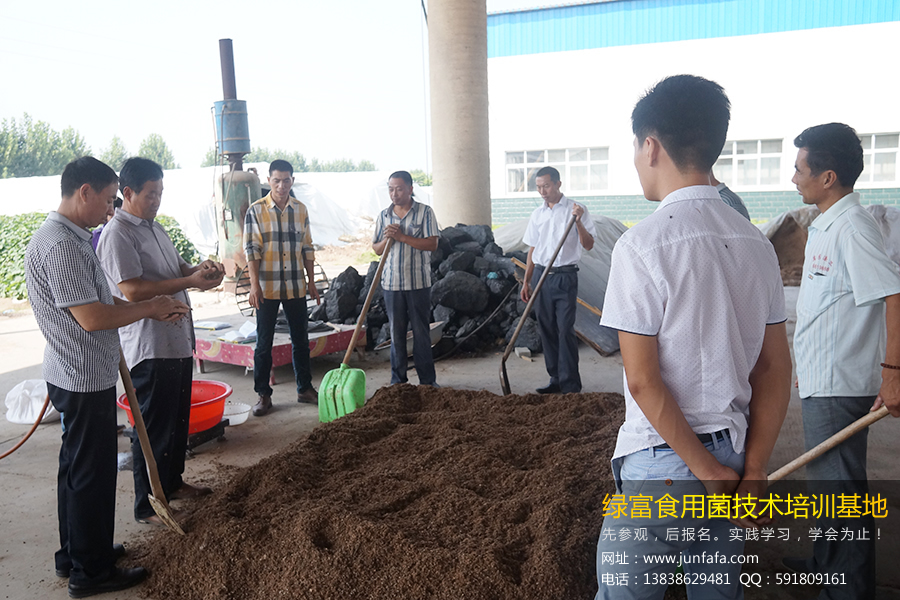 绿富食用菌培训学校-学员检测原种料