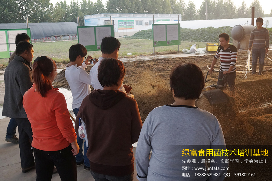 绿富食用菌技术培训学校-老师讲解生产原料处理技术