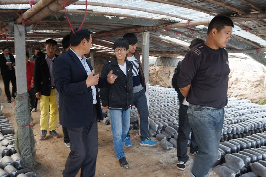 绿富食用菌培训基地学员参观平菇生产基地-1