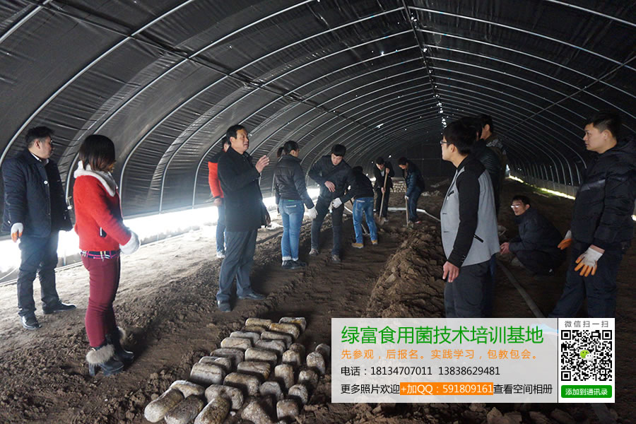 绿富食用菌技术培训基地学员实践鸡腿菇覆土出菇技术2