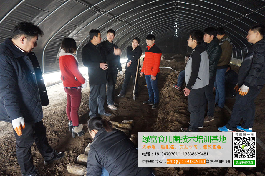 绿富食用菌技术培训基地学员实践鸡腿菇覆土出菇技术3