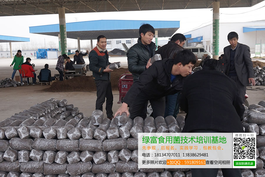 绿富食用菌技术培训学校学员实践装袋、扎口等机械化生产作业2