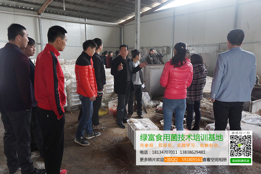 绿富食用菌技术培训基地学员实地参观学习食用菌工厂化生产1