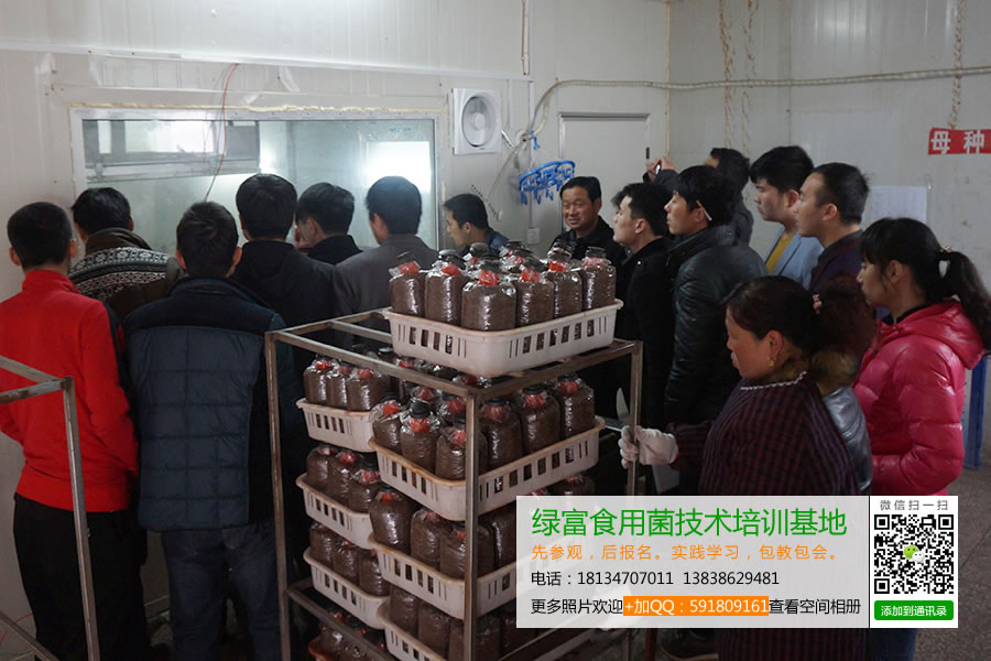 绿富食用菌技术培训基地学员实地参观学习食用菌工厂化生产3