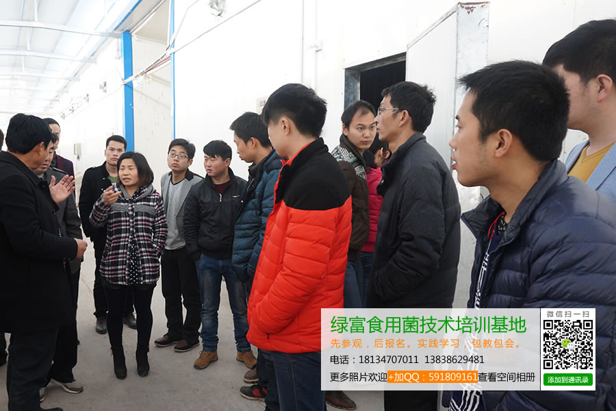 绿富食用菌技术培训基地学员实地参观学习食用菌工厂化生产4