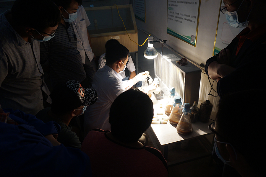 学习母种扩管技术1