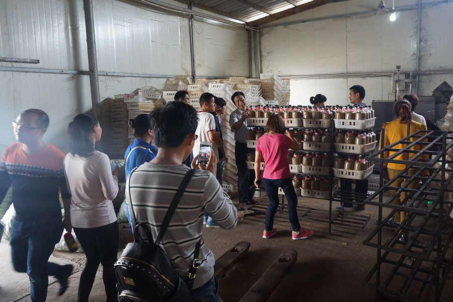 学员现场参观学习食用菌工厂化技术及工厂化废料种植平菇新技术2