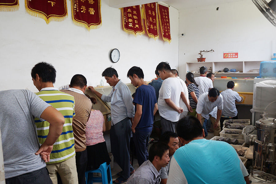 学员实践学习制作一二级菌种时，接种箱的操作