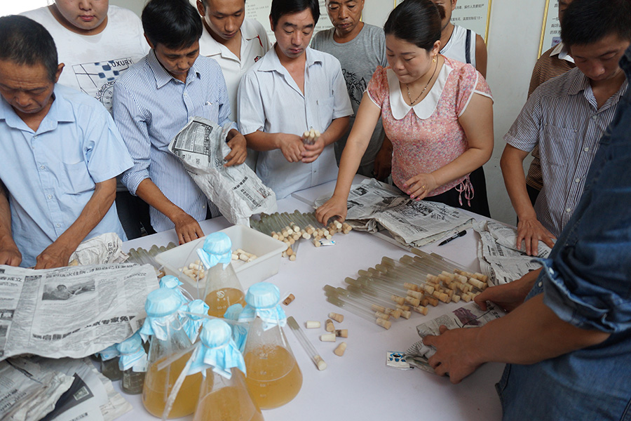 学员实践学习母种(一级菌种)培养基制作技术 (2)