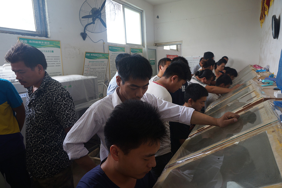 学员分别实践学习接种箱转扩菌种技术 (2)