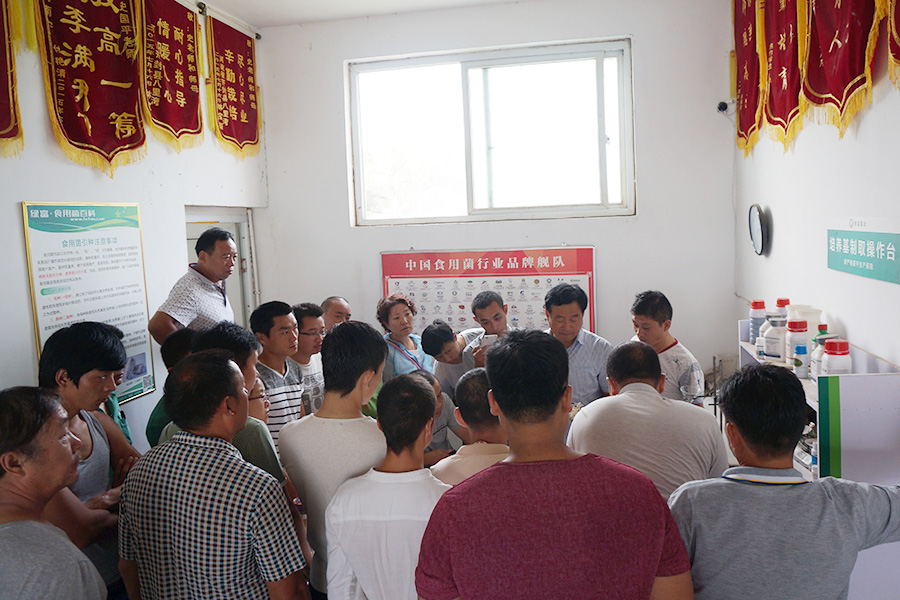 史老师指导学员实践学习一二级菌种的接种技术