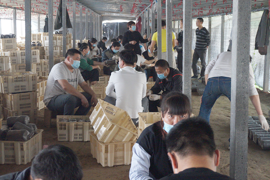 学员实践开放式接种新技术，高成功率，零感染1