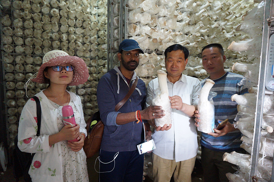 学员深入杏鲍菇工厂化基地现场学习工厂化杏鲍菇技术2