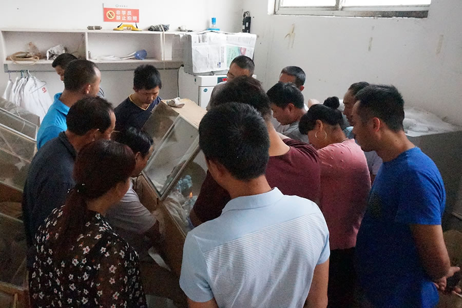 史老师亲自向学员示范母种的转扩操作1