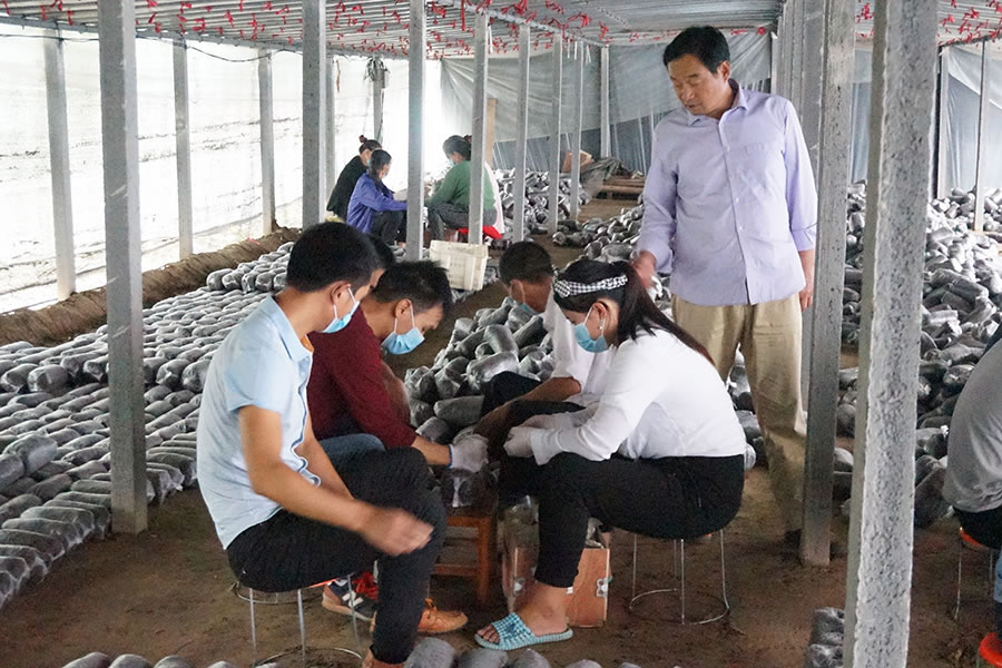 学员实践学习食用菌开放式接种新技术2