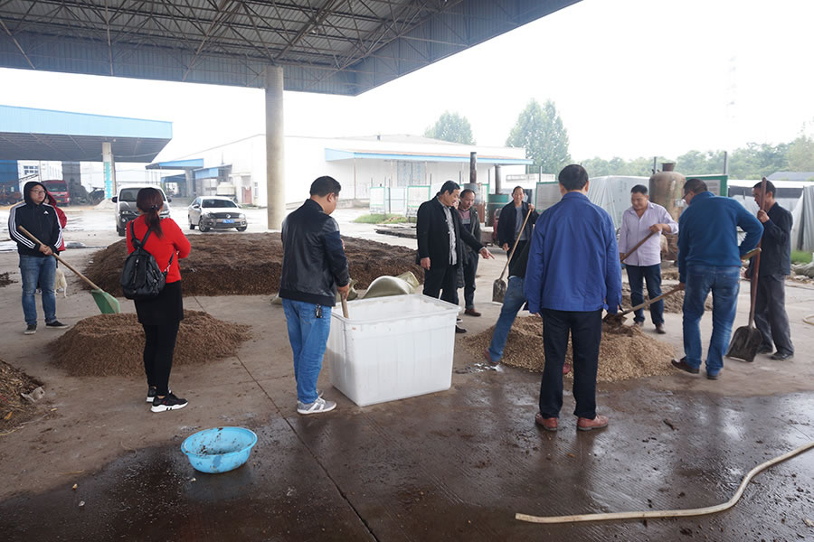 学员亲手操作学习羊肚菌菌种培养料的拌制1