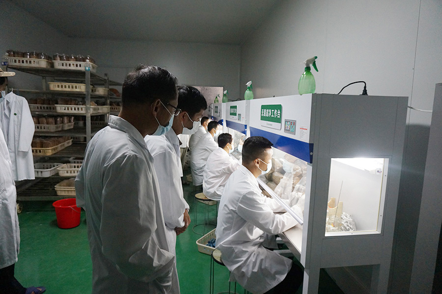 学员分组实践学习食用菌菌种制作技术1