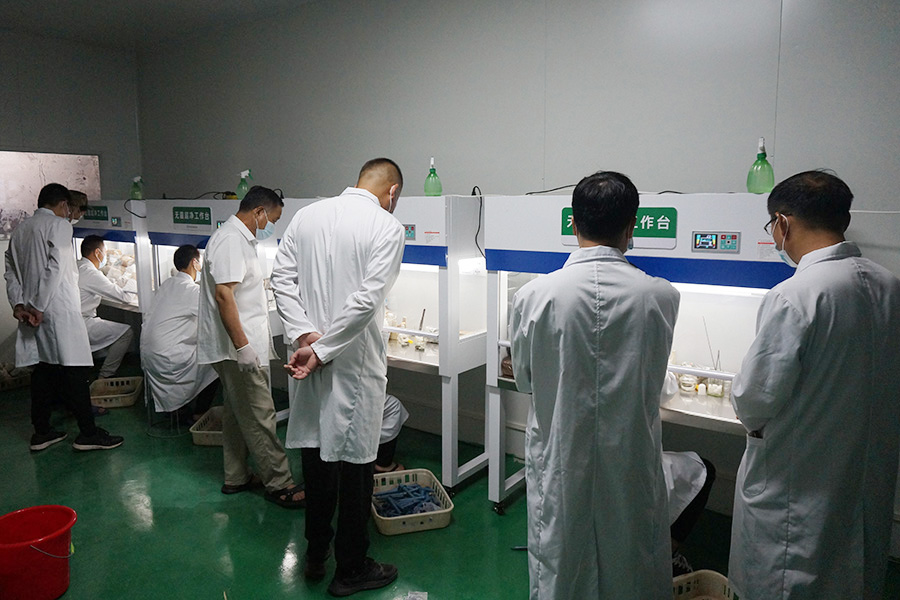 学员分组实践学习食用菌菌种制作技术2