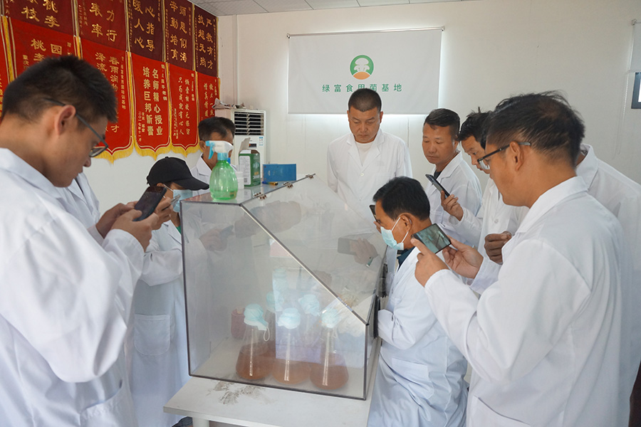 学员现场学习液体菌种制作技术3