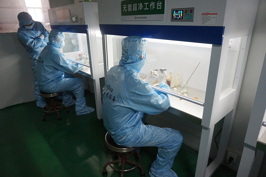 学员分组实践学习野生菌克隆菌种技术2