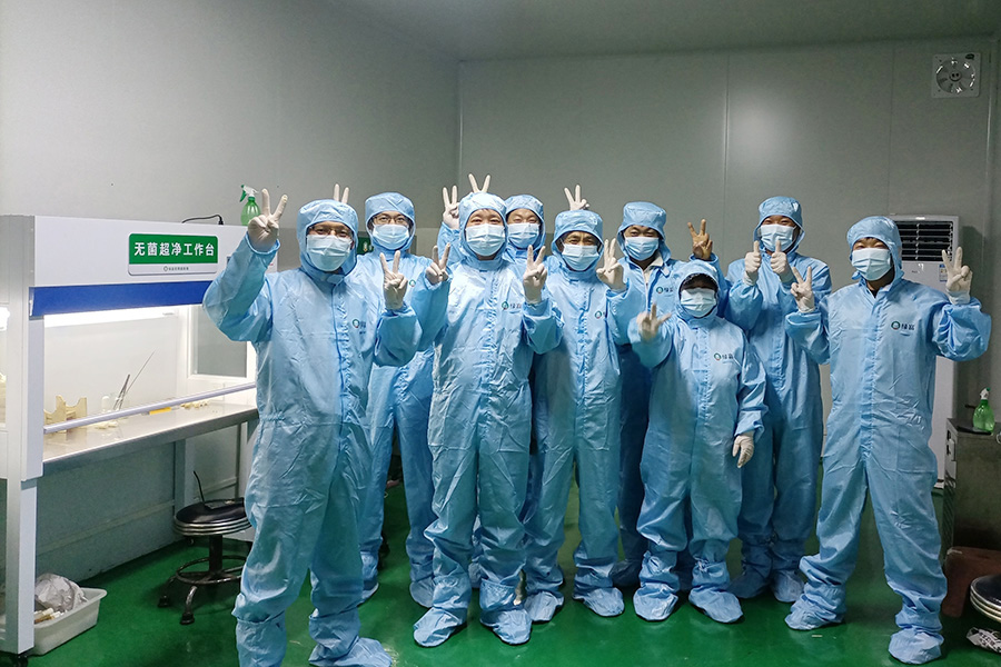 学员分组实践学习野生菌克隆菌种技术3