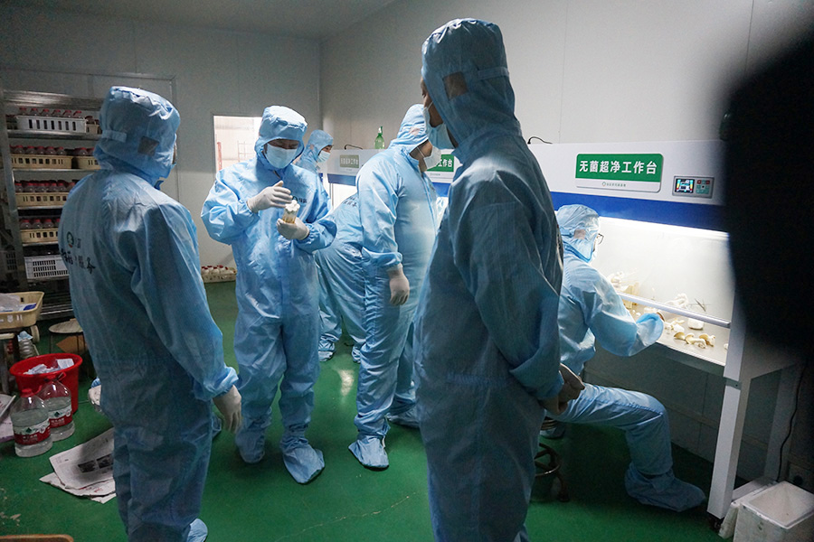 学员亲手实践食用菌接种操作技术1