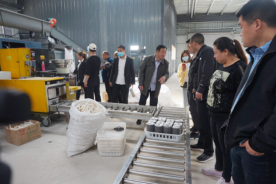 学习现代化食用菌出菇棒生产流程1