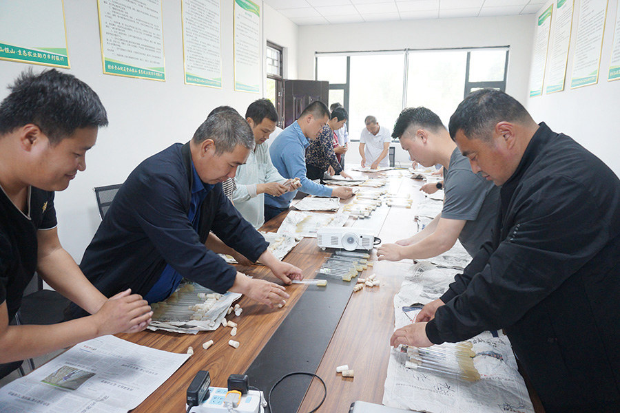 亲手操作学习一级试管母种制作技术1