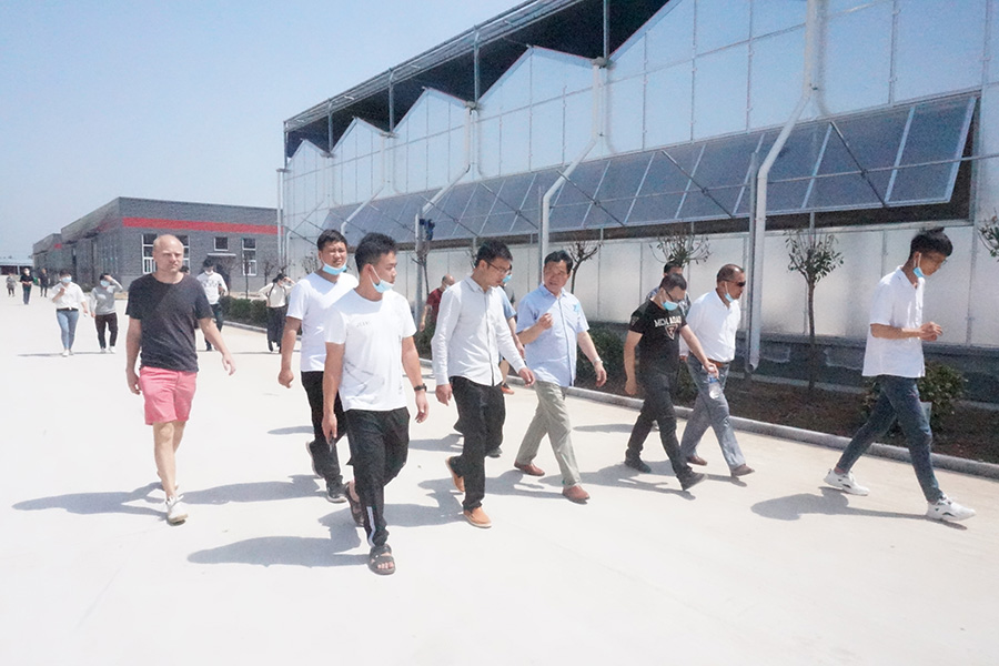 学习食用菌规模化种植技术1