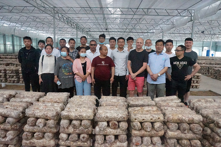 学习食用菌规模化种植技术2