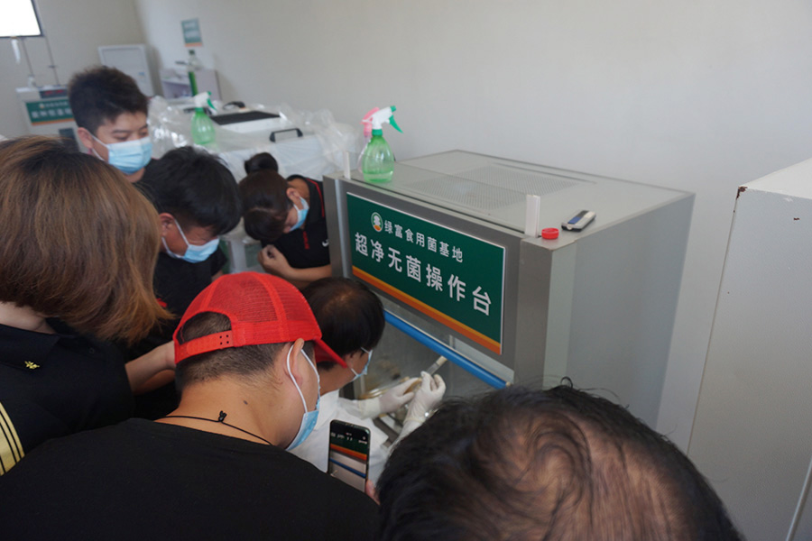 学习食用菌菌种之试管母种制作技术3