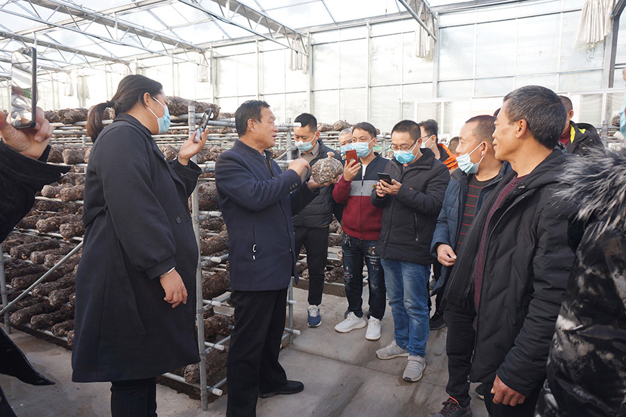 带学员现场学习香菇种植技术2