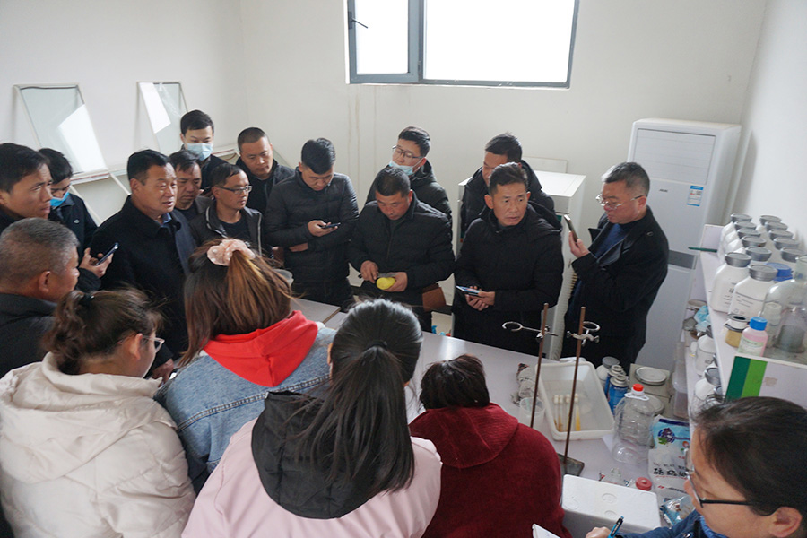 实操学习羊肚菌菌种制作技术1