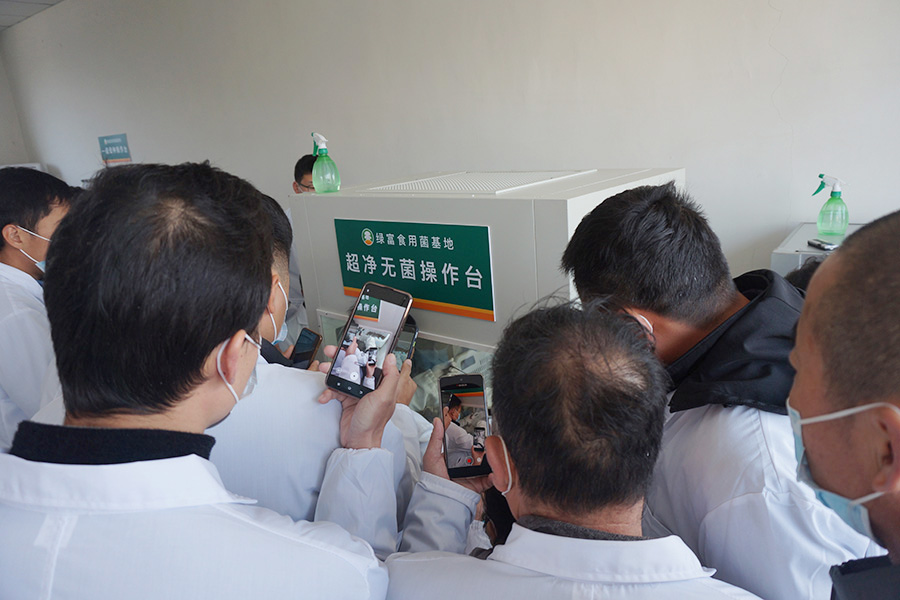 学习食用菌试管母种一级菌种制作技术1