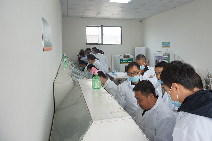 学习食用菌试管母种一级菌种制作技术2