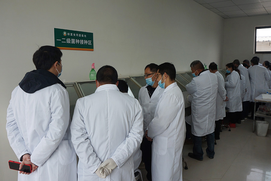 学习食用菌试管母种一级菌种制作技术3