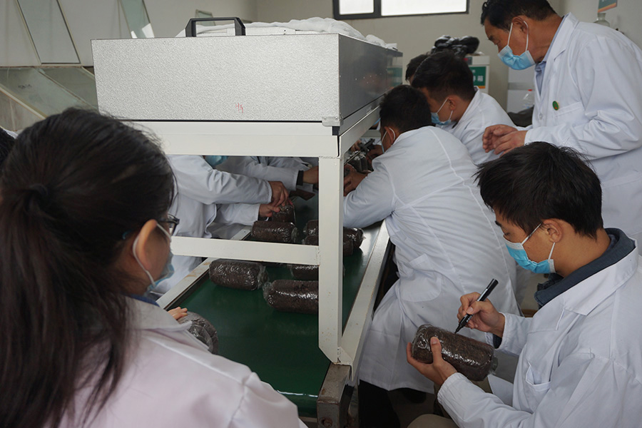 实操学习食用菌液体接种流水线2