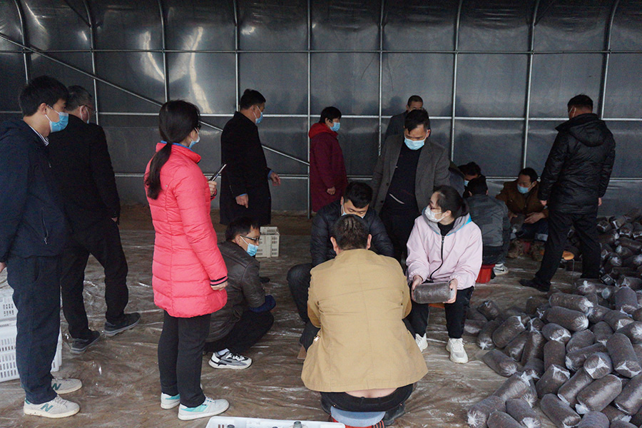 实操学习食用菌开放式接种技术2